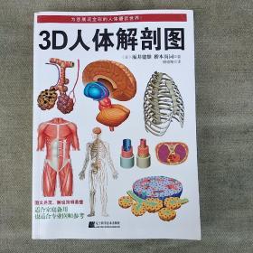 3D人体解剖图