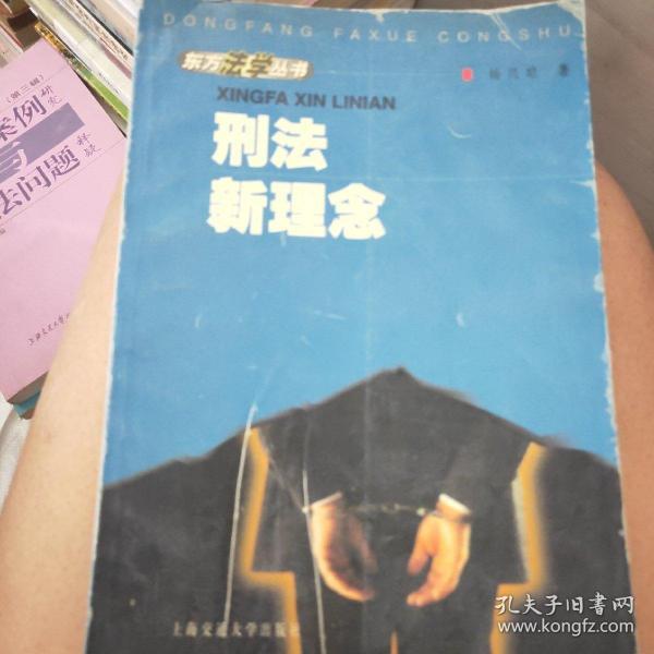 刑法新理念——东方法学丛书