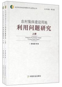 农村集体建设用地利用问题研究（上册）单本