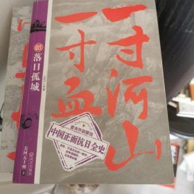 一寸河山一寸血.3：落日孤城