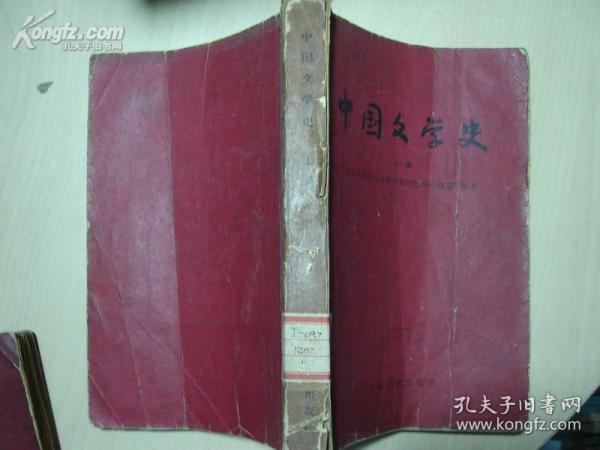 中国文学史（上册）（馆藏书）[6579]