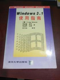 Windows 3.1使用手册