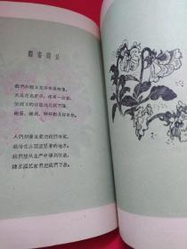 百花齐放