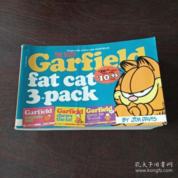 Garfield Fat Cat Three Pack Volume #6 加菲猫