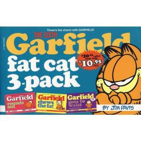 Garfield Fat Cat Three Pack Volume #6 加菲猫