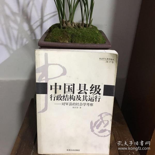 中国县级行政结构及其运行：对W县的社会学考察