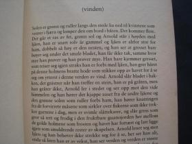 Halvbroren  半血兄弟  精装本全一册 2001年出版  挪威语原版小说