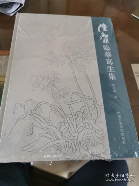 陆抑非临摹写生集