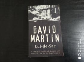 AVID MARTIN CUL-de-SACD