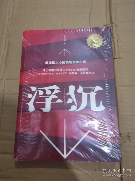 浮沉：最激励人心的职场生存小说