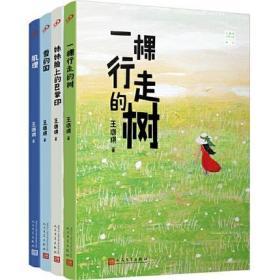 王璐琪少年小说系列（雪的国+妹妹脸上的巴掌印+肌理+一棵行走的树）（共4册）