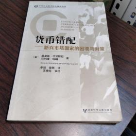 货币错配：新兴市场国家的困境与对策