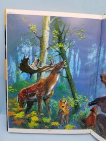 动物世界·彩绘百科全书（全四册）一版一印
