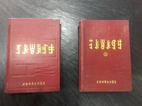 彝族书籍 《彝族尔比尔吉释义》 词典  彝文书