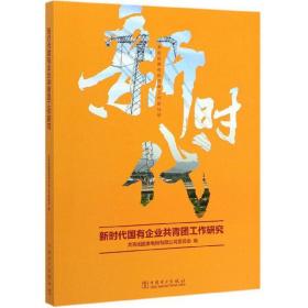 新时代国有企业共青团工作研究