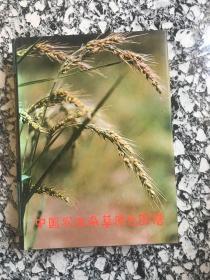 中国农田杂草原色图谱