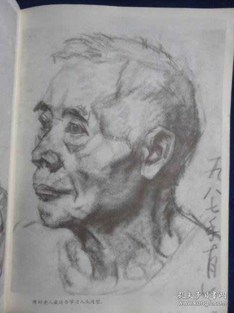 素描头像入门