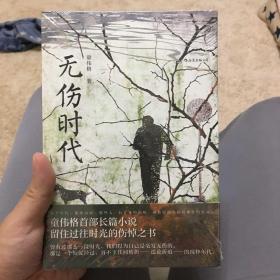 无伤时代（童伟格首部长篇小说）