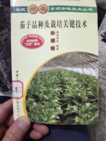 茄子品种及栽培关键技术