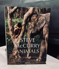 史蒂文·麦柯里:动物摄影 Steve McCurry. Animals 进口原版图书[TASCHEN]出版