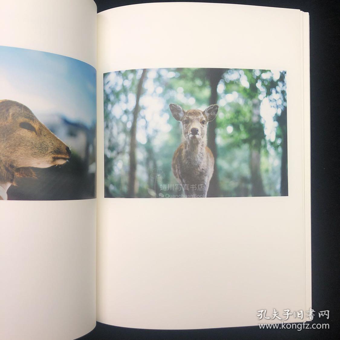 幡野広志<Hobonichi Books> 幡野广志温柔写真
