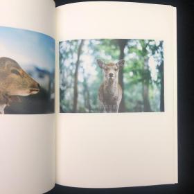 幡野広志<Hobonichi Books> 幡野广志温柔写真