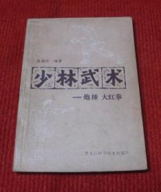 武术系列--少林武术：炮锤，大红拳--A30