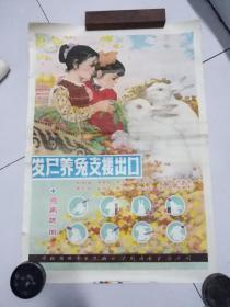 宣传画《发展养兔支援出口》蒙汉文（2开）中国粮油内蒙古分公司