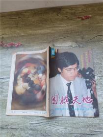 围棋天地 1987.12/杂志