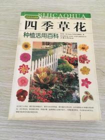 拈花惹草系列：四季草花种植活用百科