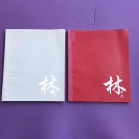 传承与开拓 林学大及林友权美术作品展 二本一套