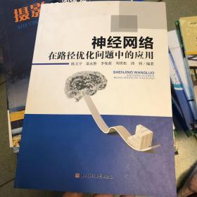 神经网络在路径优化问题中的应用