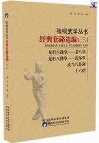 经典套路选编(3)-张桐武学丛书