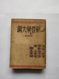 新哲学大纲（补正增订般）