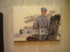 《鄱湖风浪》，50开郑庆衡绘，天津2008.2一版一印10品，7378号，连环画