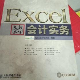 Excel高效办公：会计实务  有盘