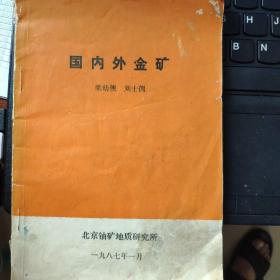 國內(nèi)外金礦