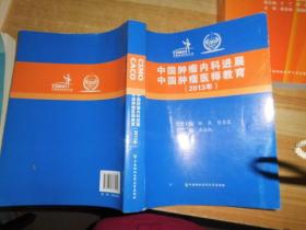 中国肿瘤内科进展 中国肿瘤医师教育2013