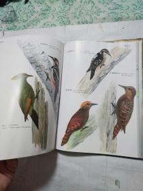 广东鸟类彩色图鉴 中国鸟类环志年鉴（大自然编辑部赠）