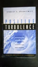 Positive Turbulence: Developing Climates For Creativity Innovation And Renewal