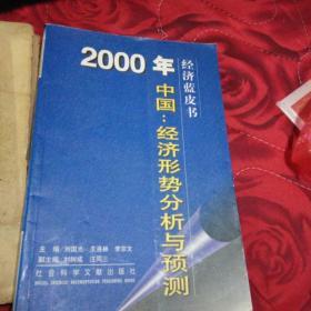 2000年中国：经济形势分析与预测