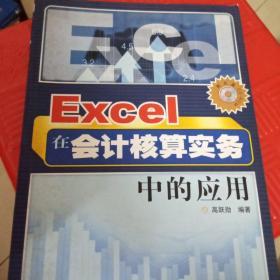 Excel在会计核算实务中的应用  有盘