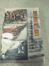 砥柱中流——’95辽宁省抗洪抢险救灾纪实