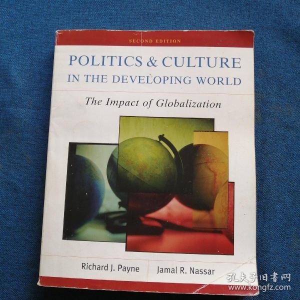 POLITICS&CULTURE IN THE DEVELOPING WORLD The Impact of Globalization
SECOND EDITION