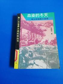 血染的冬天：斯大林格勒大会战