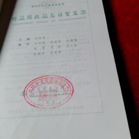 传染病防治与日常生活——当代公共卫生焦点丛书