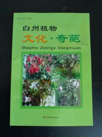 白州植物 文化 奇葩