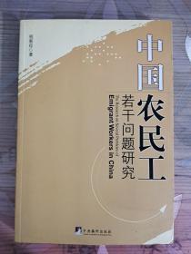 中国农民工若干问题研究