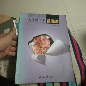 人体解剖学彩色图谱