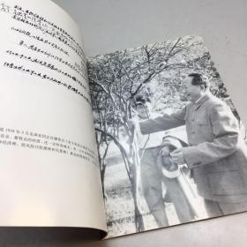 纪念毛泽东同志诞辰100周年：毛泽东论林业【一版一印 9品 +++ 正版现货 自然旧 多图拍摄 看图下单 收藏佳品】